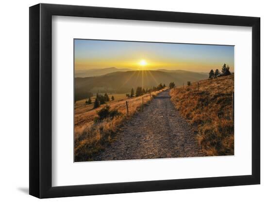 Photographic Print, , large