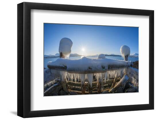 Premium Photographic Print, , large