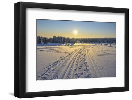 Photographic Print, , large