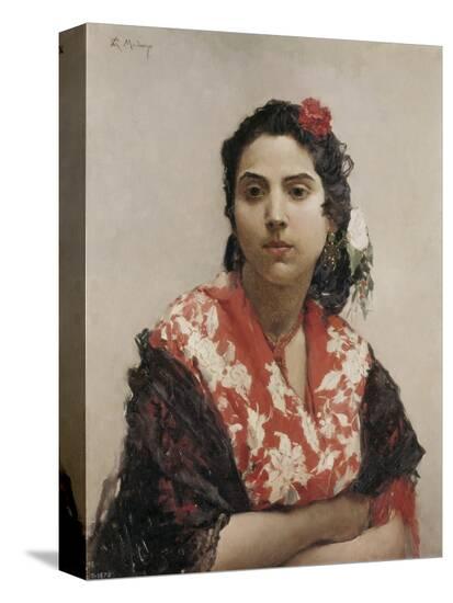 Stretched Canvas Print, , large