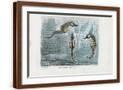 Brown Frame