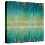 Rain Abstract I-Danhui Nai-Stretched Canvas