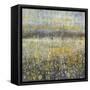 Rain Abstract II-Danhui Nai-Framed Stretched Canvas