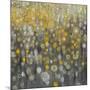 Rain Abstract VI-Danhui Nai-Mounted Art Print