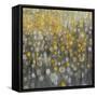 Rain Abstract VI-Danhui Nai-Framed Stretched Canvas
