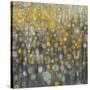 Rain Abstract VI-Danhui Nai-Stretched Canvas