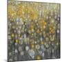 Rain Abstract VI-Danhui Nai-Mounted Art Print