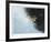 Rain and Leaves-Jan Wagstaff-Framed Giclee Print