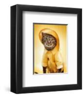 Rain Cat-Rachael Hale-Framed Art Print