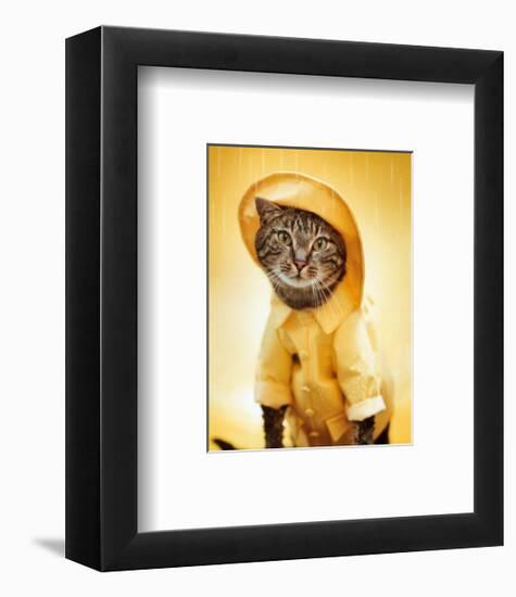 Rain Cat-Rachael Hale-Framed Art Print