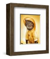 Rain Cat-Rachael Hale-Framed Art Print