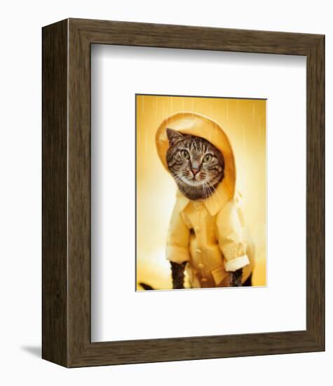 Rain Cat-Rachael Hale-Framed Art Print