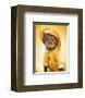 Rain Cat-Rachael Hale-Framed Art Print