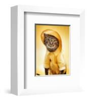 Rain Cat-Rachael Hale-Framed Art Print