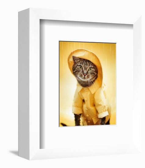 Rain Cat-Rachael Hale-Framed Art Print