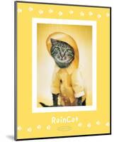 Rain Cat-Rachael Hale-Mounted Premium Giclee Print