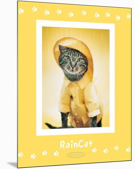 Rain Cat-Rachael Hale-Mounted Premium Giclee Print
