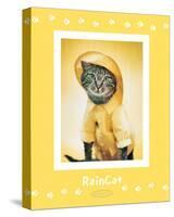 Rain Cat-Rachael Hale-Stretched Canvas