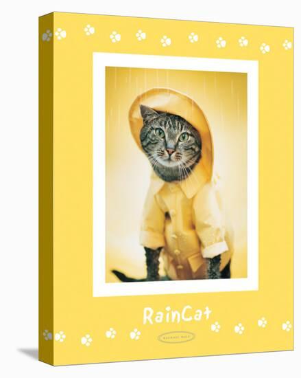 Rain Cat-Rachael Hale-Stretched Canvas