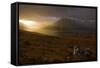 Rain Clouds over Ben More Coigach and Loch Lurgainn at Dawn, Coigach, Highland, Scotland, UK-Mark Hamblin-Framed Stretched Canvas