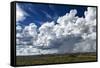 Rain Clouds over the Namibian Savanna-Circumnavigation-Framed Stretched Canvas