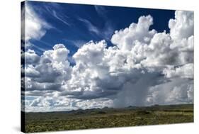 Rain Clouds over the Namibian Savanna-Circumnavigation-Stretched Canvas