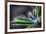 Rain Drop on a Lupine Leaf-Ursula Abresch-Framed Photographic Print