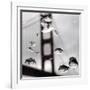 Rain Drops are Shown on a Car Windshield with the Golden Gate Bridge in Background-null-Framed Photographic Print