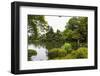 Rain Drops Fall on Kasumigaike Pond in Summer, Kenrokuen-Eleanor Scriven-Framed Photographic Print