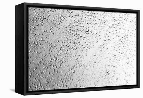 Rain Drops II-Karyn Millet-Framed Stretched Canvas