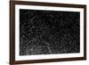 Rain Drops III-Karyn Millet-Framed Photographic Print