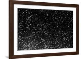 Rain Drops III-Karyn Millet-Framed Photographic Print