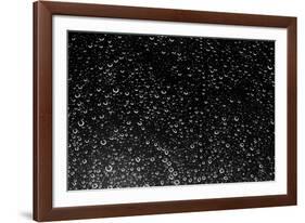 Rain Drops III-Karyn Millet-Framed Photographic Print