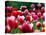 Rain Drops Twinkle on Blooming Tulips on a Field near Freiburg, Germany-Winfried Rothermel-Stretched Canvas