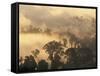 Rain Forest, Borneo, Southeast Asia-Lousie Murray-Framed Stretched Canvas