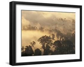 Rain Forest, Borneo, Southeast Asia-Lousie Murray-Framed Photographic Print