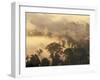 Rain Forest, Borneo, Southeast Asia-Lousie Murray-Framed Photographic Print