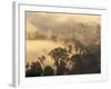 Rain Forest, Borneo, Southeast Asia-Lousie Murray-Framed Photographic Print