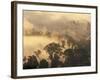 Rain Forest, Borneo, Southeast Asia-Lousie Murray-Framed Photographic Print