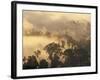 Rain Forest, Borneo, Southeast Asia-Lousie Murray-Framed Photographic Print