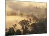 Rain Forest, Borneo, Southeast Asia-Lousie Murray-Mounted Photographic Print