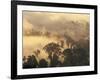 Rain Forest, Borneo, Southeast Asia-Lousie Murray-Framed Photographic Print