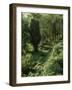 Rain Forest, Brazil-null-Framed Photographic Print