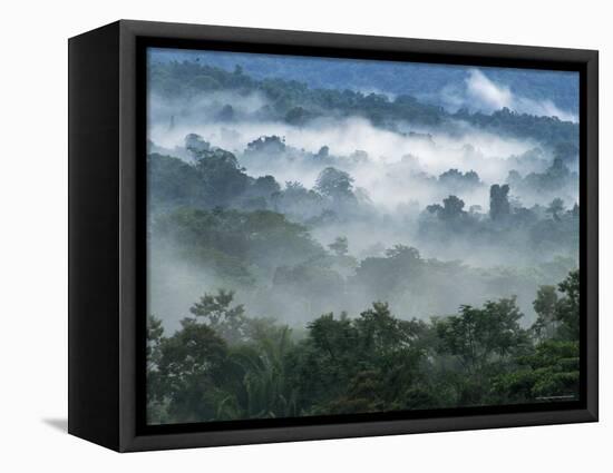 Rain Forest, from Lubaantun to Maya Mountains, Belize, Central America-Upperhall-Framed Stretched Canvas