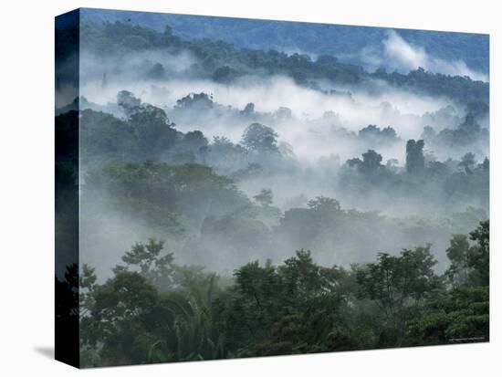 Rain Forest, from Lubaantun to Maya Mountains, Belize, Central America-Upperhall-Stretched Canvas