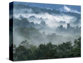 Rain Forest, from Lubaantun to Maya Mountains, Belize, Central America-Upperhall-Stretched Canvas