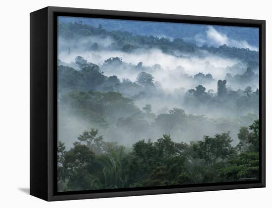 Rain Forest, from Lubaantun to Maya Mountains, Belize, Central America-Upperhall-Framed Stretched Canvas