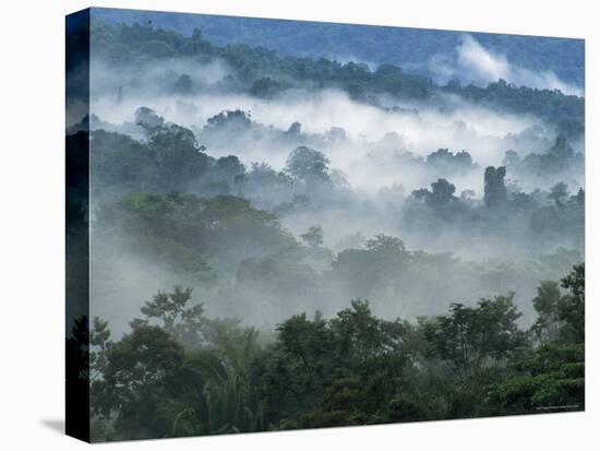 Rain Forest, from Lubaantun to Maya Mountains, Belize, Central America-Upperhall-Stretched Canvas