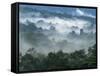 Rain Forest, from Lubaantun to Maya Mountains, Belize, Central America-Upperhall-Framed Stretched Canvas