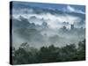 Rain Forest, from Lubaantun to Maya Mountains, Belize, Central America-Upperhall-Stretched Canvas